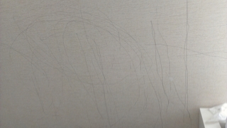 IMAG0010.jpg