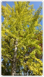 IMAG0344.jpg